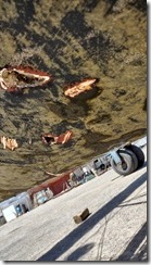IMG_20250509_111907416_HDR